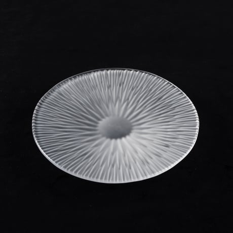 大迫友紀　白い菊 小