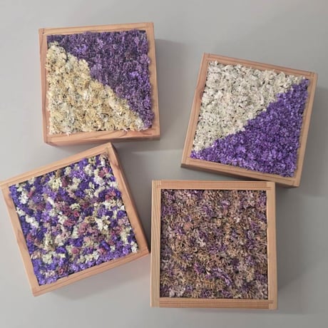 スターチスbox壁掛け【white×purple】