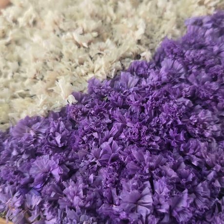 スターチスbox壁掛け【white×purple】