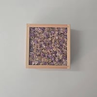 スターチスbox壁掛け【classic】