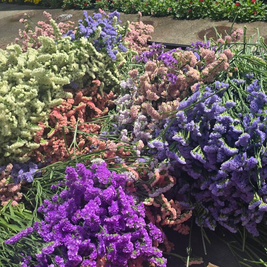 6a645d7fb2c71d363cea4b7a