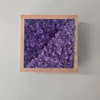 スターチスbox壁掛け【purple×purple】