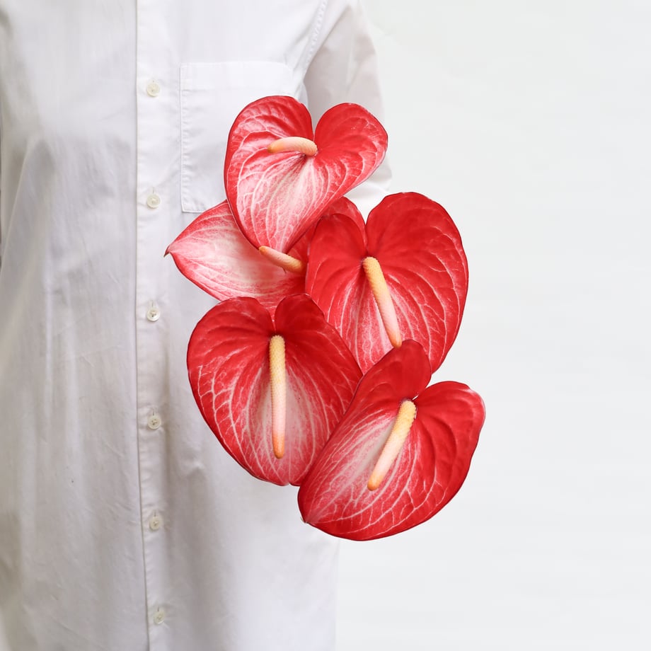 5f0d893dec8fd35263b7c3af