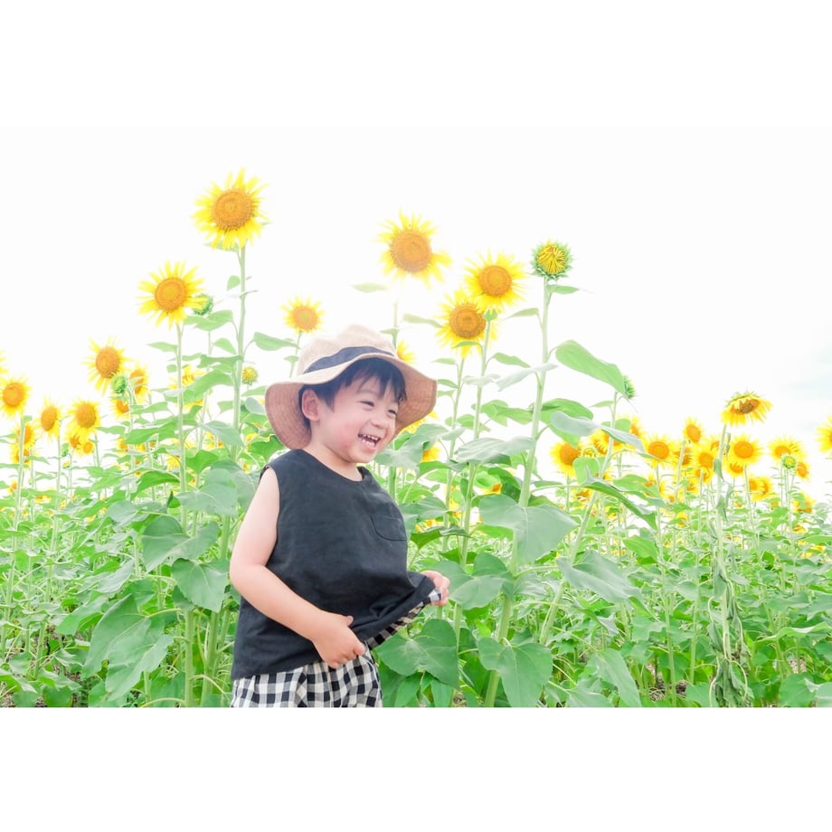 66b52955c49f180d952ff303