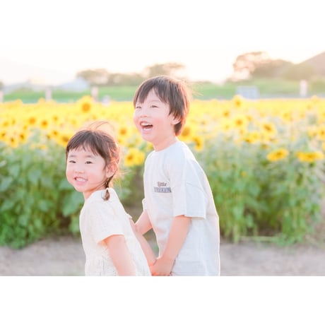 【8月】ひまわりフォト｜大垣ひまわり畑