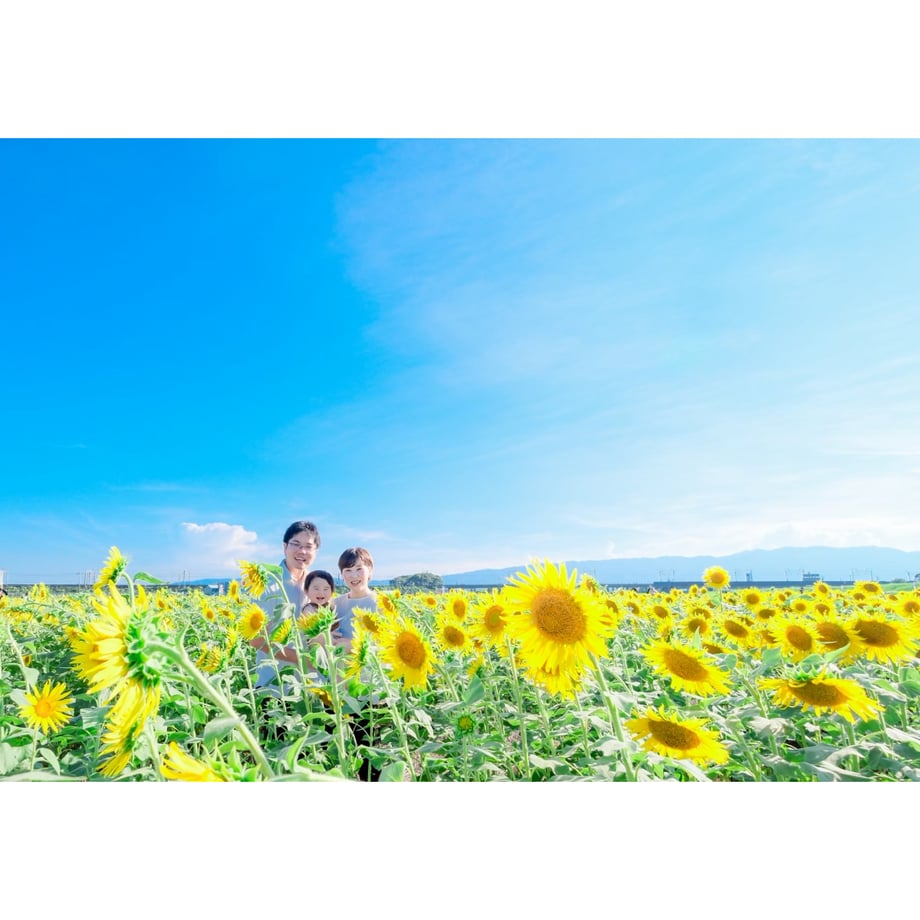 66b52955c49f180d952ff303