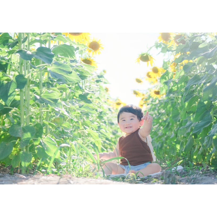 66b52955c49f180d952ff303