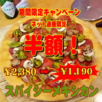 スパイシーメキシカン