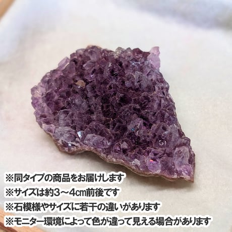 【島根県】出雲巡礼　令和８年１０月２６日