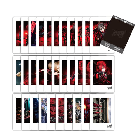 CATEGORY Royz | B.P.STORE