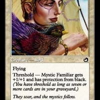 水晶のしぶき　日本語　foil 水晶のしぶき,INV,JPN | 花唐草ショップ