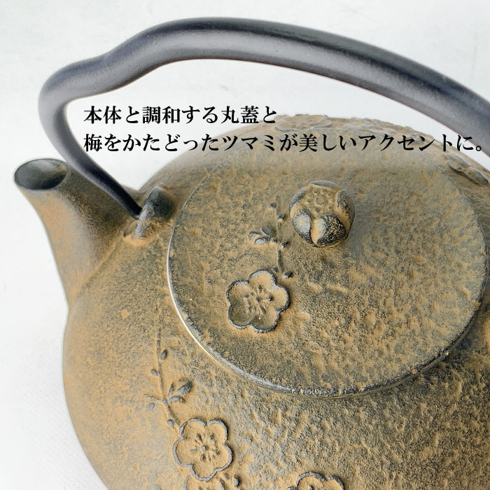 南部鉄器 及富 鉄瓶兼用急須 直火OK 鉄分補給 ケトル 南部鉄器 急須兼用 鉄瓶 0.5L IH対応 しののめ 及富 日本製｜直火OK