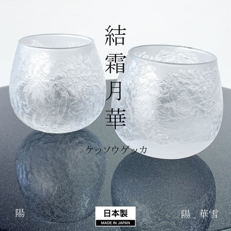 IZUMIYA