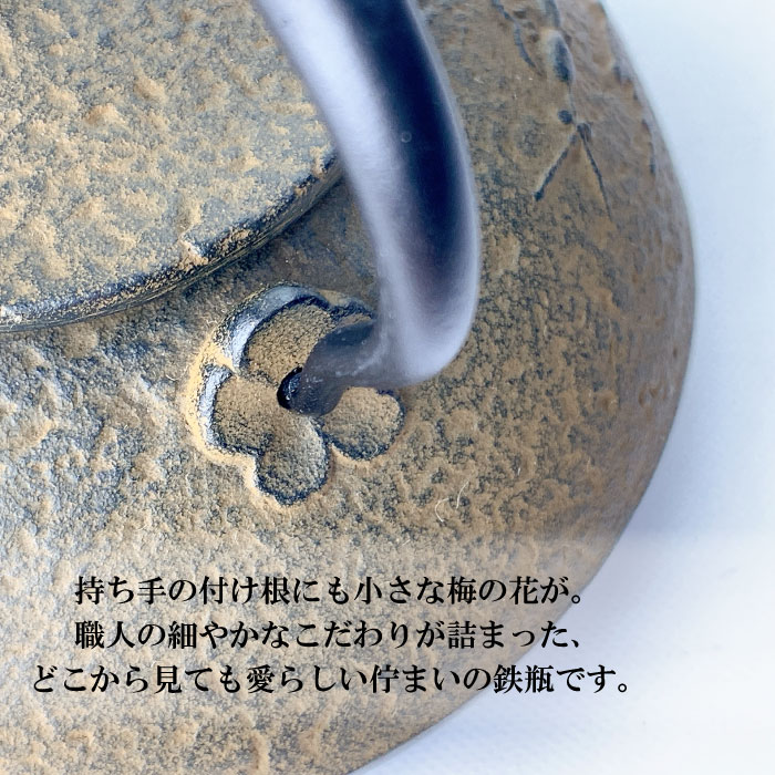 南部鉄器 急須兼用 鉄瓶 0.5L IH対応 しののめ 及富 日本製｜直火OK
