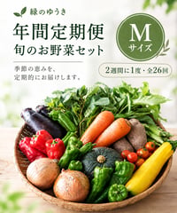 年間定期便　2週に1度　Mサイズ