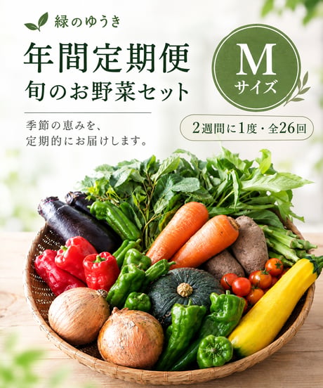 年間定期便　2週に1度　Mサイズ