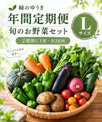 年間定期便　2週に1度　Lサイズ