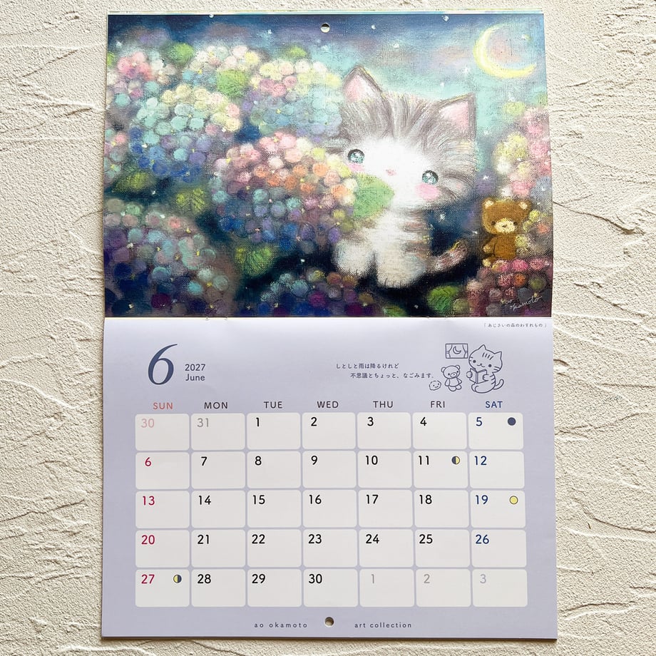 6ab634652a1a3c79bcfc2717