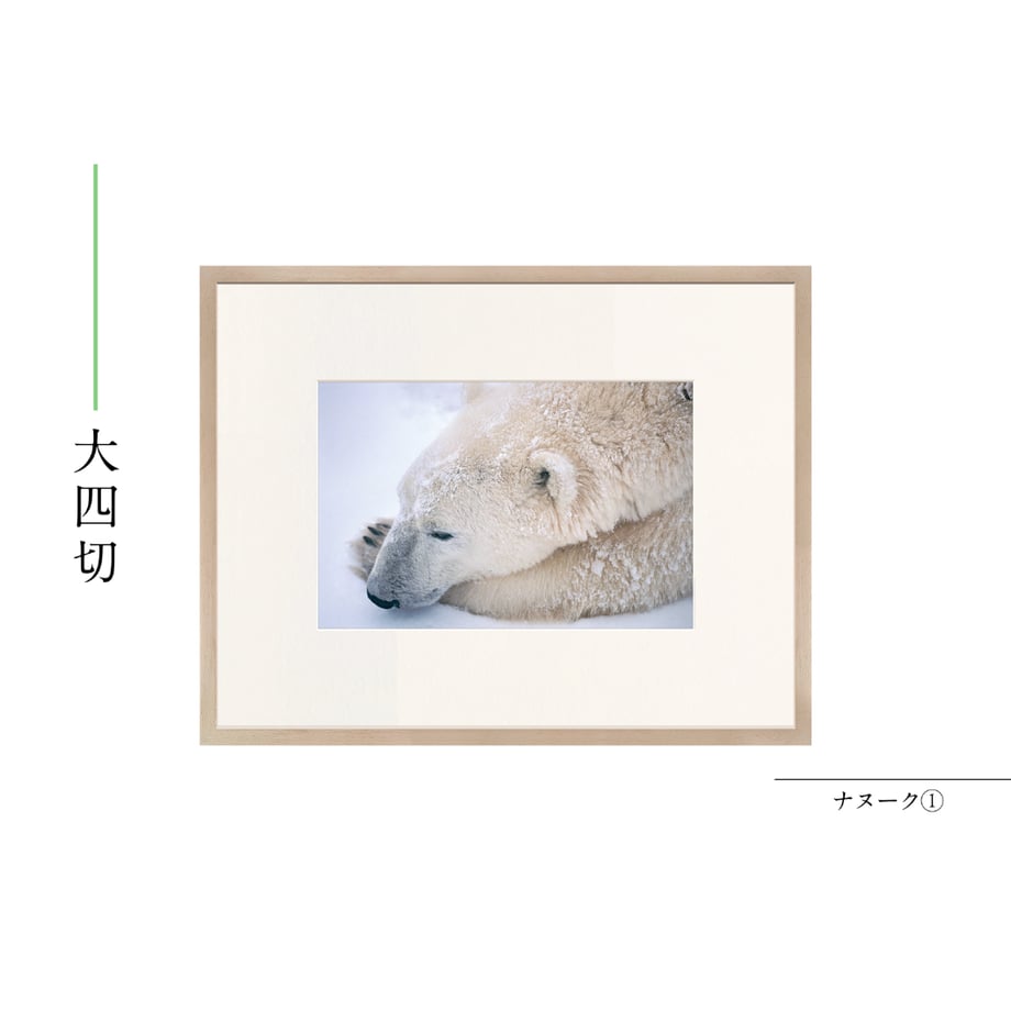 6a55b33a82a5092543a4a69e
