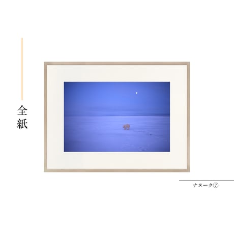 【星野道夫】オリジナルプリント「ナヌーク⑦」