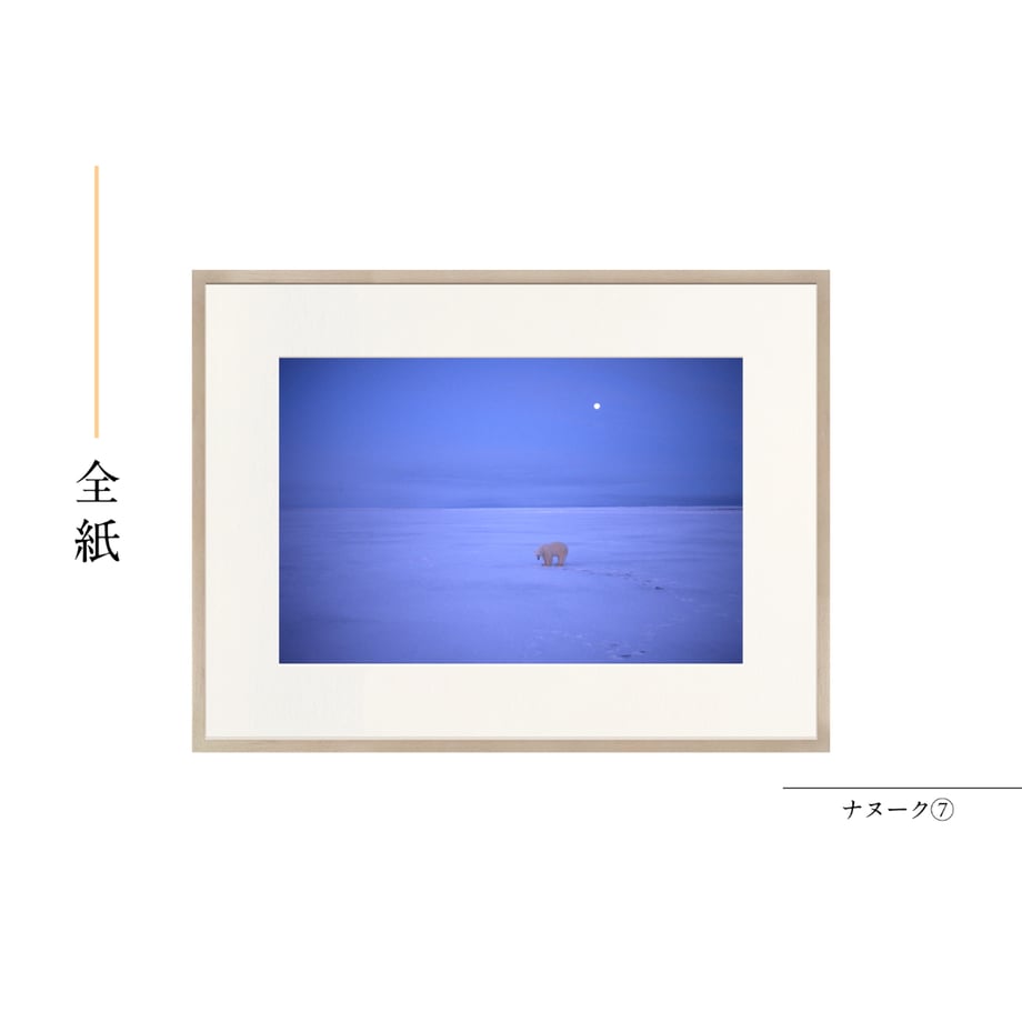 6a55b74cd7091d43c09a3247
