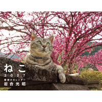 【岩合光昭】2027 岩合光昭 ねこ 壁掛けカレンダー