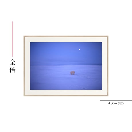 【星野道夫】オリジナルプリント「ナヌーク⑦」