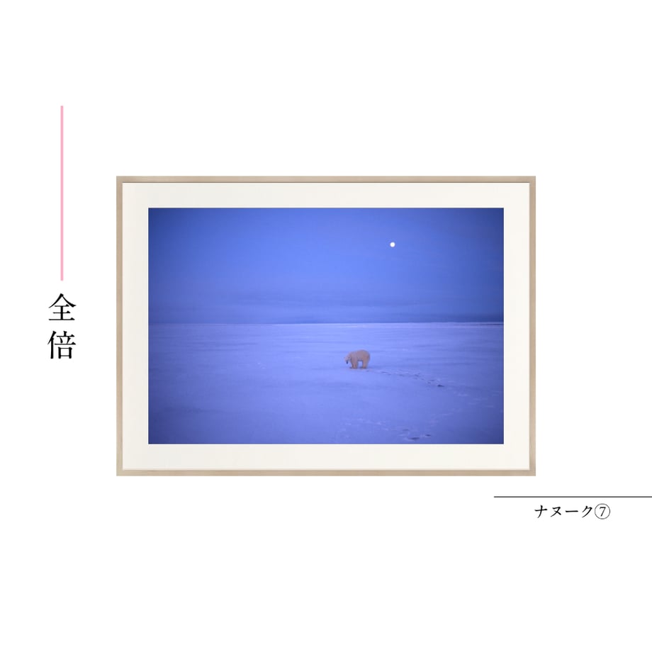 6a55b74cd7091d43c09a3247
