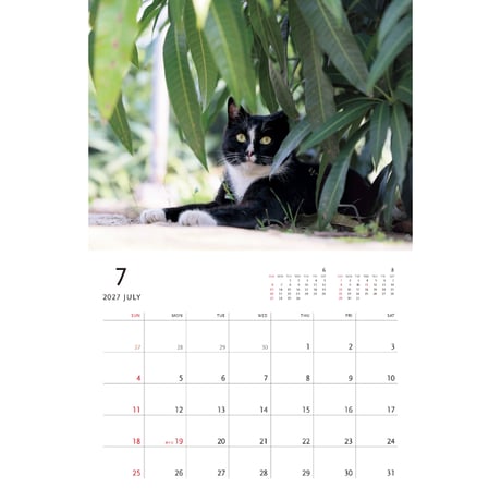 【岩合光昭】2027 岩合光昭 ねこ 壁掛けカレンダー