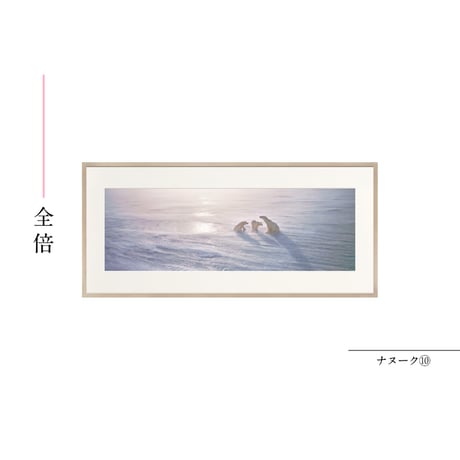 【星野道夫】オリジナルプリント「ナヌーク⑩」