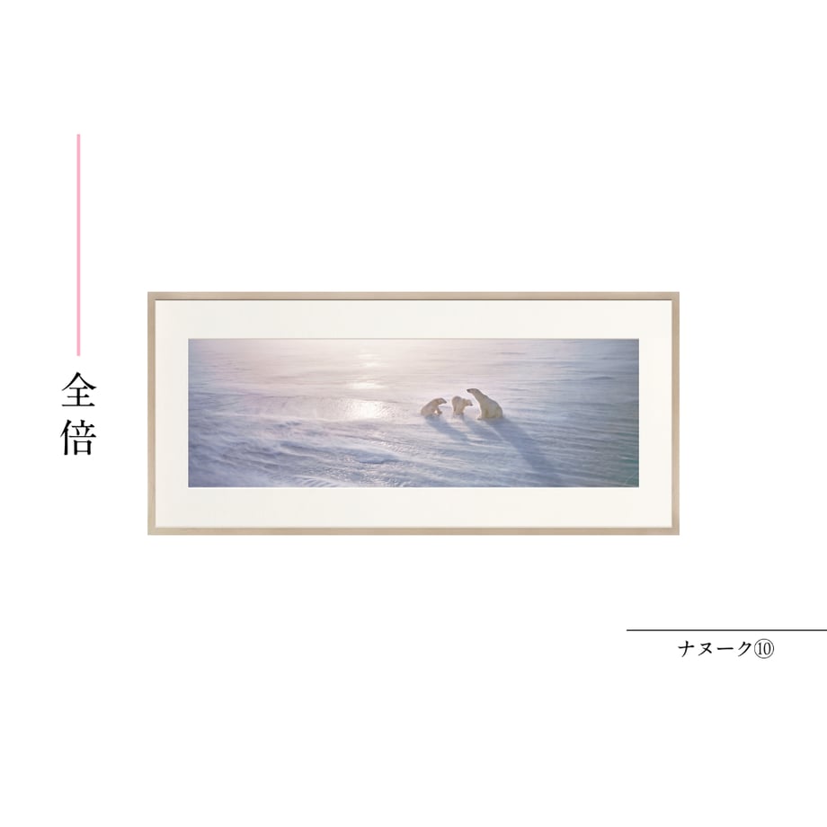 6a55b91ef3e1684f1cb83278