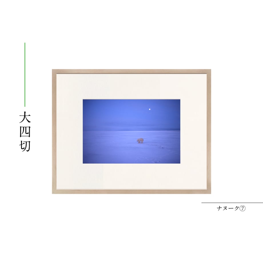 6a55b74cd7091d43c09a3247