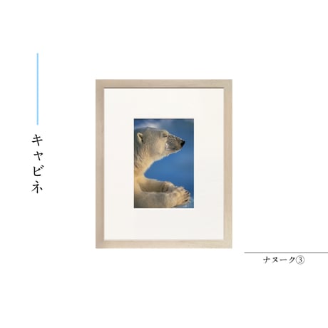【星野道夫】オリジナルプリント「ナヌーク③」