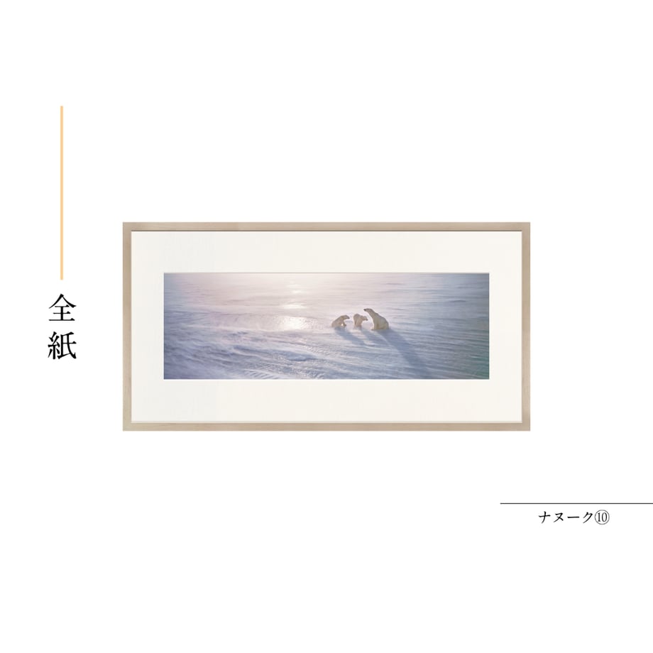 6a55b91ef3e1684f1cb83278