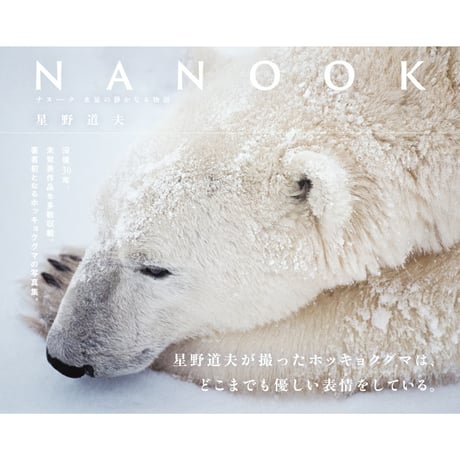 【星野道夫】写真集『ナヌーク 氷原の静かなる物語』
