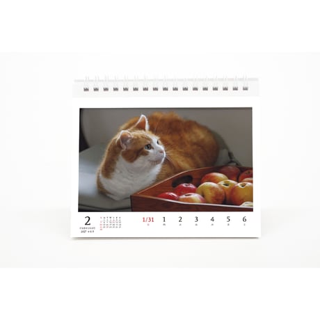【岩合光昭】2027 岩合光昭 ねこ 卓上週めくりカレンダー