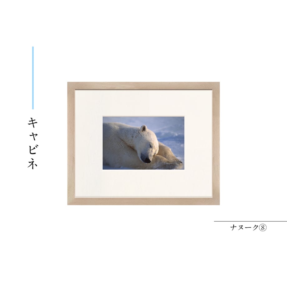 6a55b7d4a537ca4d066f396d