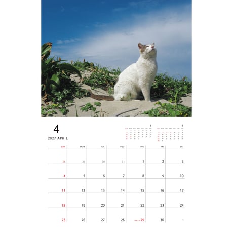 【岩合光昭】2027 岩合光昭 ねこ 壁掛けカレンダー