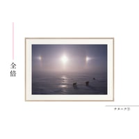 【星野道夫】オリジナルプリント「ナヌーク⑨」