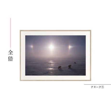 【星野道夫】オリジナルプリント「ナヌーク⑨」