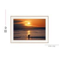 【星野道夫】オリジナルプリント「ナヌーク⑥」