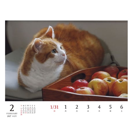 【岩合光昭】2027 岩合光昭 ねこ 卓上週めくりカレンダー