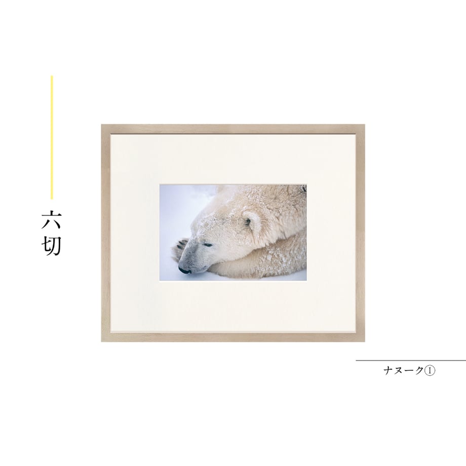 6a55b33a82a5092543a4a69e