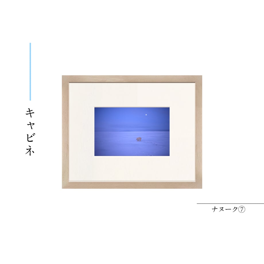 6a55b74cd7091d43c09a3247