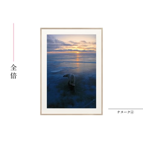 【星野道夫】オリジナルプリント「ナヌーク④」