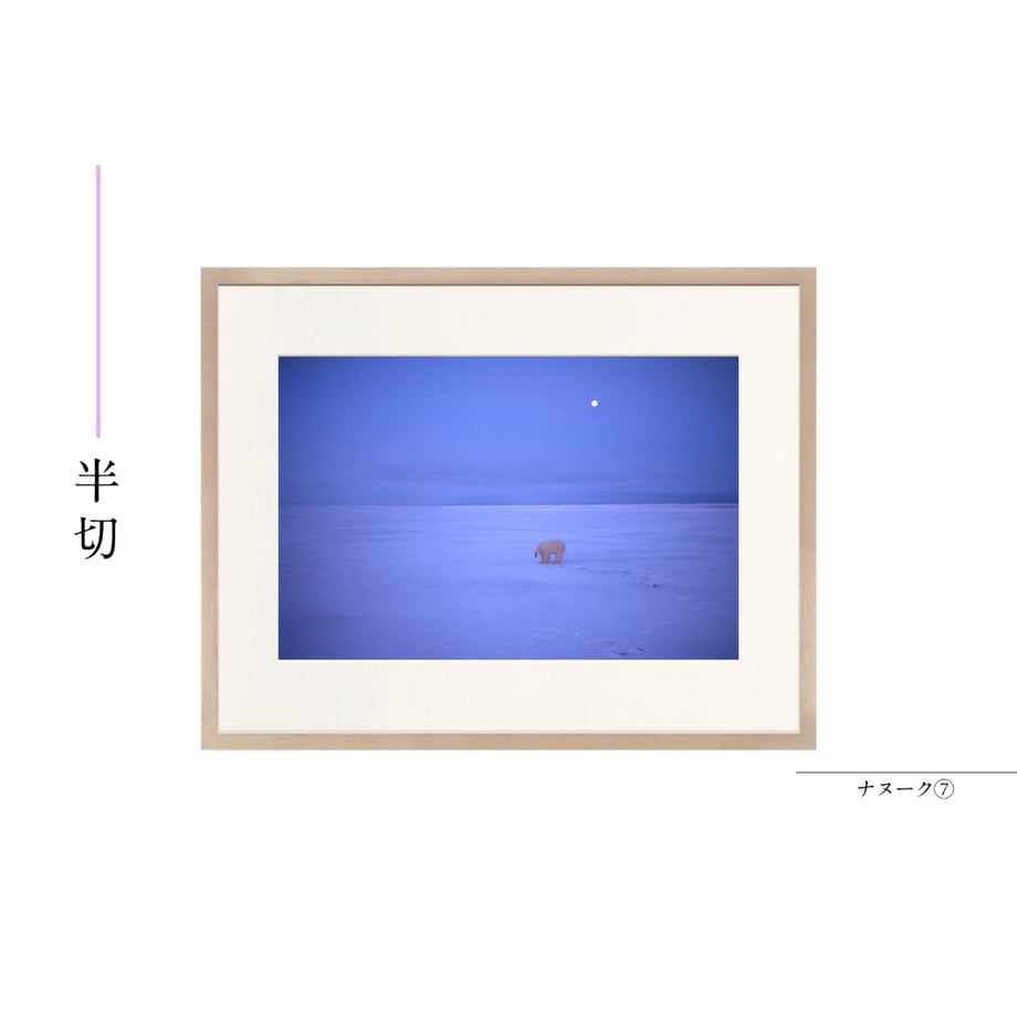 6a55b74cd7091d43c09a3247