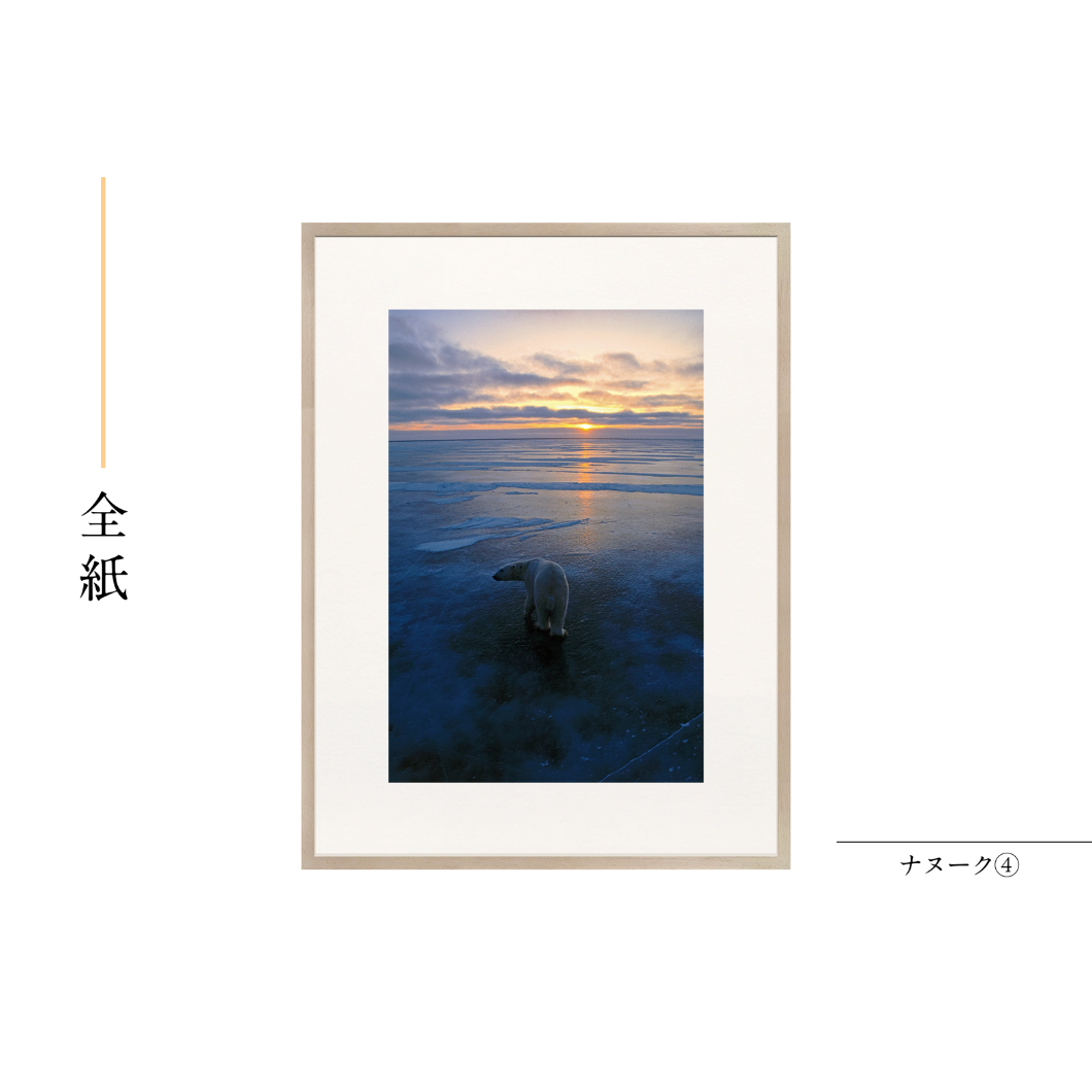 星野道夫】オリジナルプリント「ナヌーク④」 | Crevis Online Store
