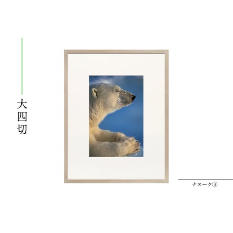 【星野道夫】オリジナルプリント「ナヌーク③」