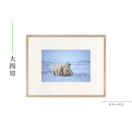 【星野道夫】オリジナルプリント「ナヌーク⑤」