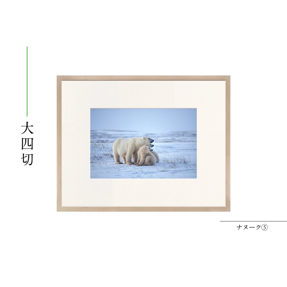 6a55b6125b1e91387cd6f0d9